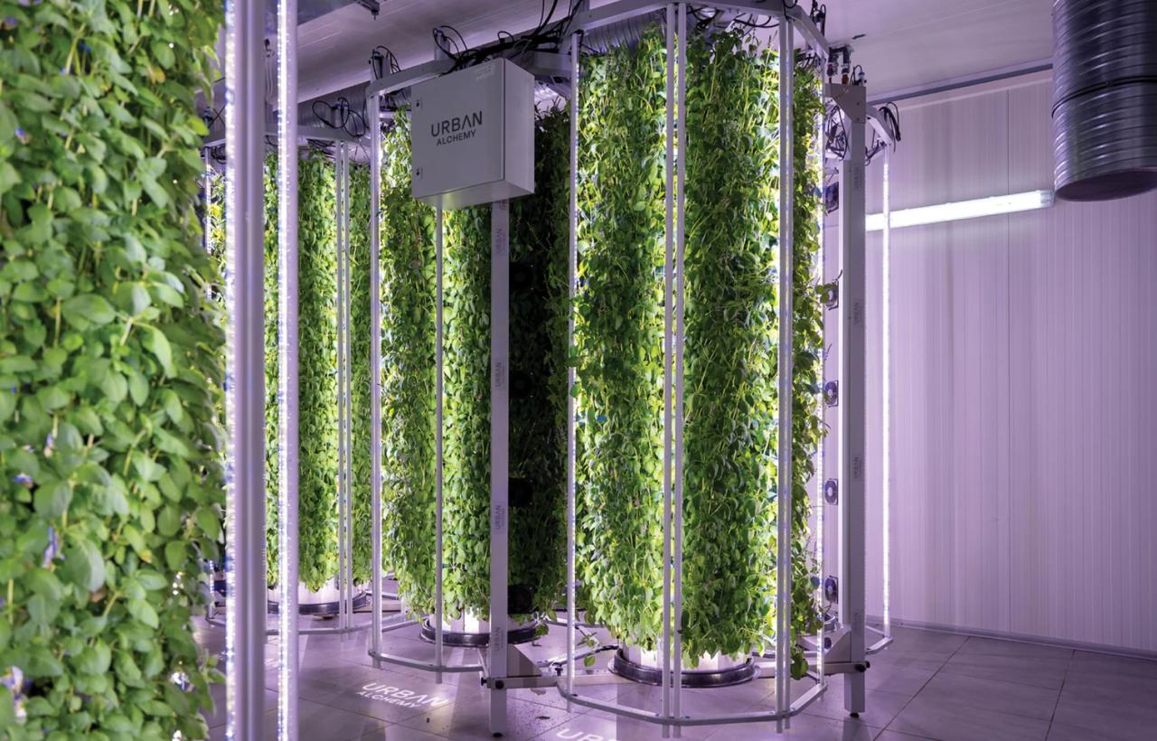 Urban Alchemy_vertical Farming